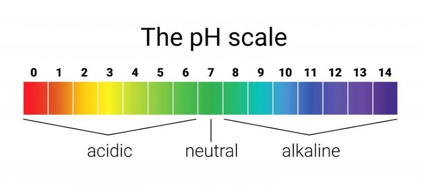 How PH level of the scalp and hair strand contributes to scalp damage during relaxer application. 